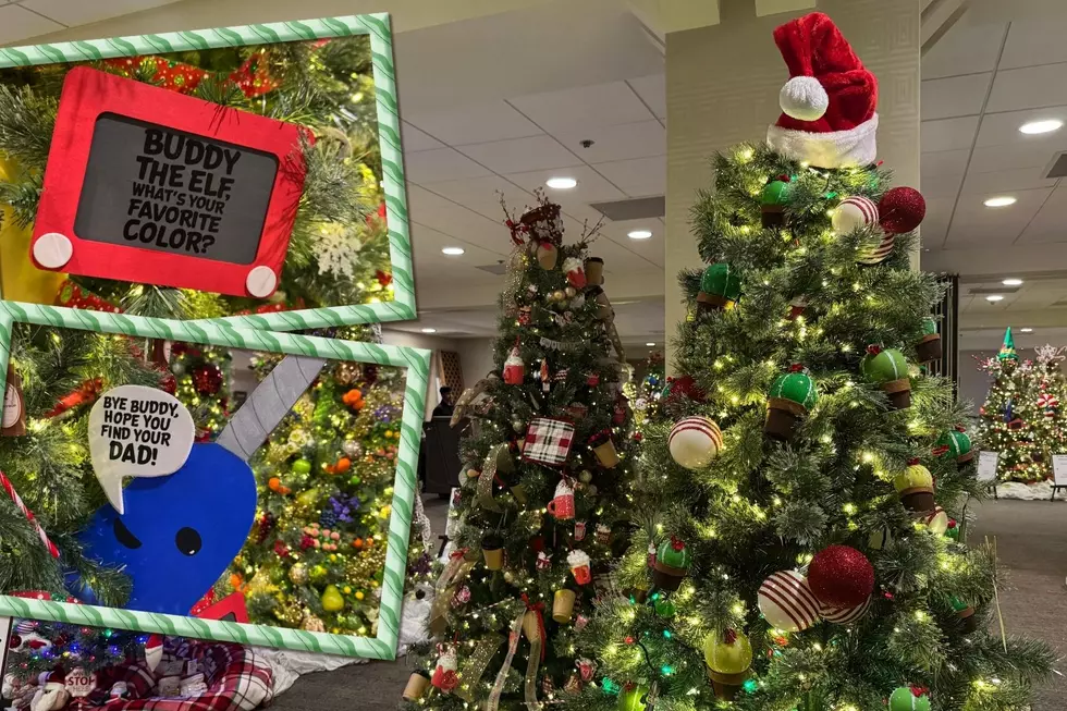 Festival of Trees 2025 Brings 80+ Stunning Trees to Rochester This Weekend — See the Photos