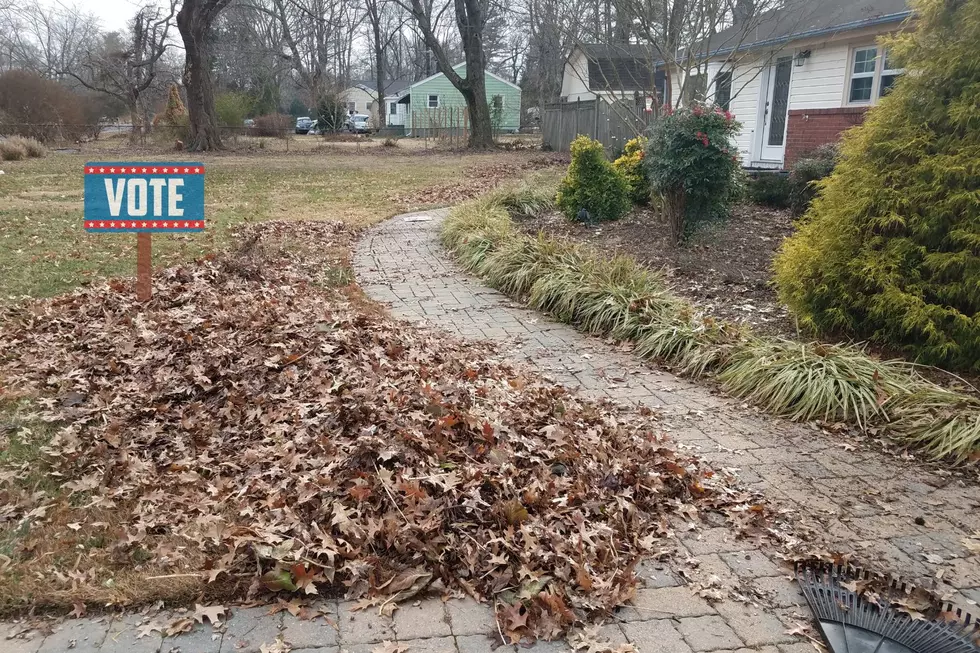 Remove This from Your Yard Soon or Risk Breaking Minnesota Law