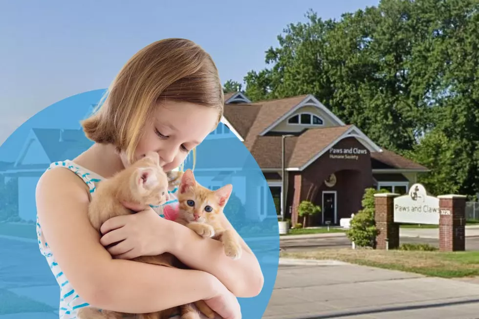 Special Pet Adoption Event This Weekend Only in Rochester, Minnesota