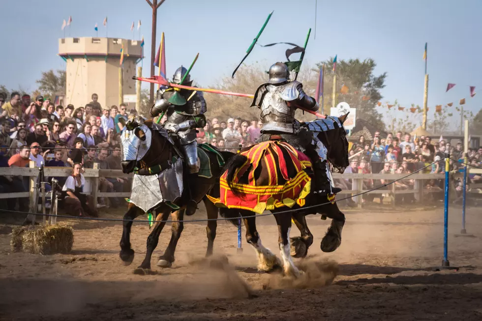 2025 Minnesota Renaissance Festival: What to Know
