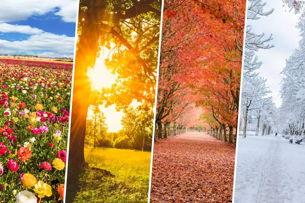 Historic Weather Event Forming: What That Means For Summer and Winter in Minnesota