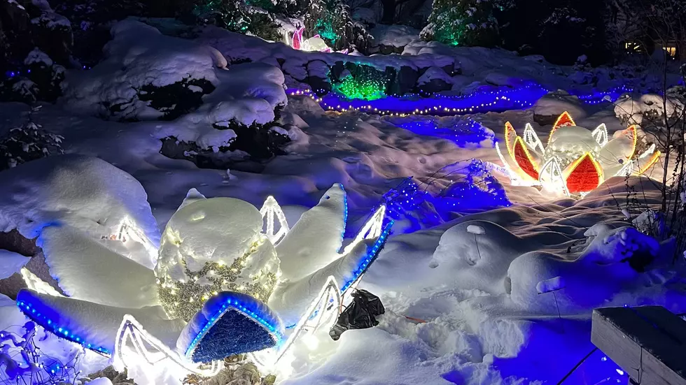 Experience a Different Kind of Holiday Magic at Minnesota’s Winter Lights