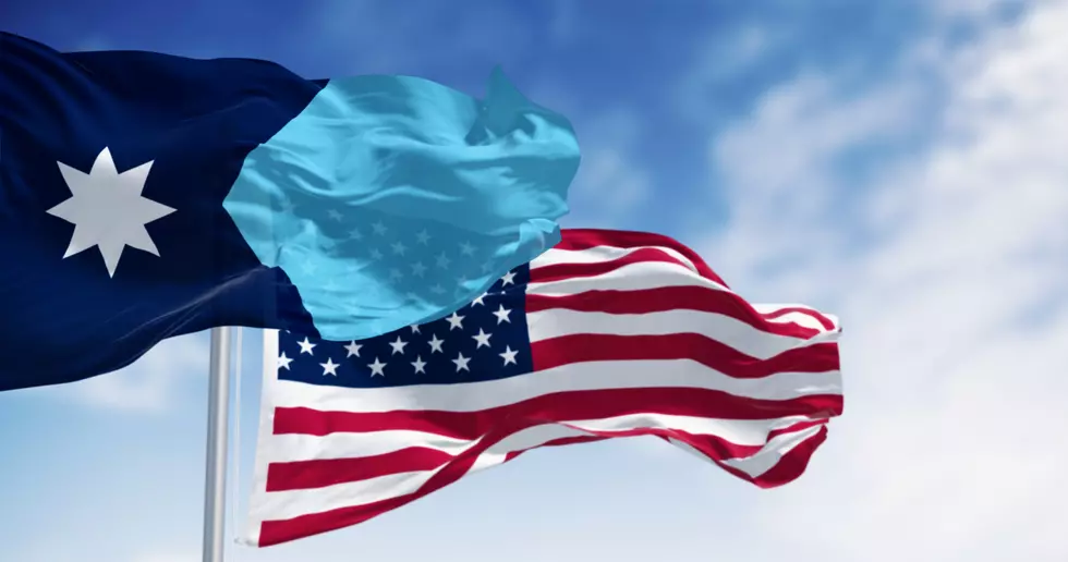 Two More Minnesota Towns Rejects the New Minnesota Flag