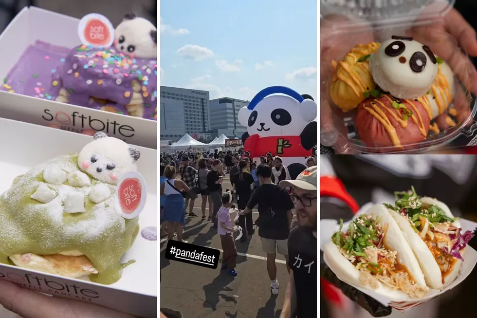 The ‘Largest Asian Food Festival’, Panda Fest, is Coming Back to Minnesota