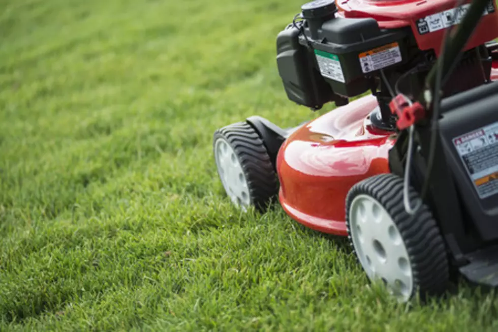 Minnesota Lawn Care: When to Mow, Fertilize, Seed, and More