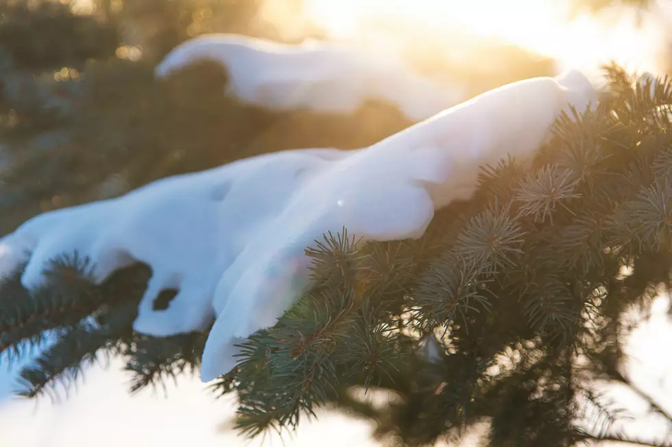 Southern Minnesota’s Big January Warmup Starts Tomorrow